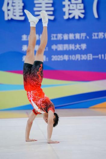 蜘蛛体育直播