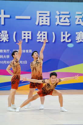 蜘蛛体育APP下载