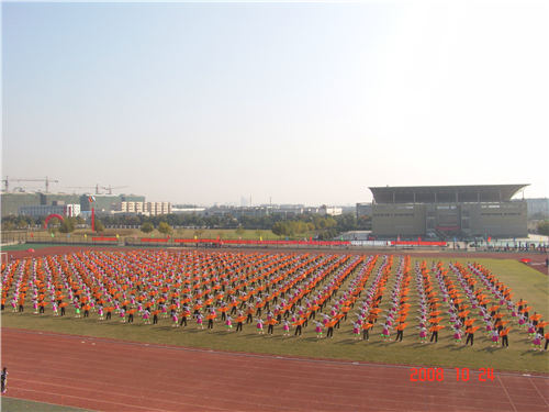 蜘蛛体育欧洲杯图片