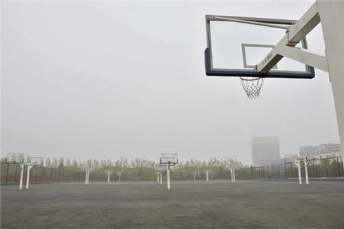 蜘蛛体育直播图片